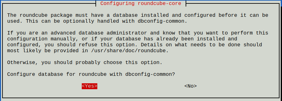 Debconf asking whether you want to have the database set up for you